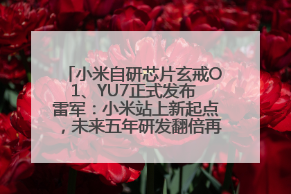 小米自研芯片玄戒O1、YU7正式发布 雷军：小米站上新起点，未来五年研发翻倍再投2000亿元