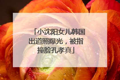 小沈阳女儿韩国出道照曝光，被指撞脸孔孝真