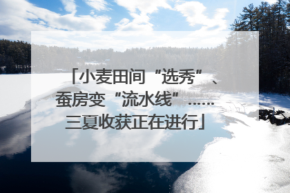 小麦田间“选秀”、蚕房变“流水线”……三夏收获正在进行