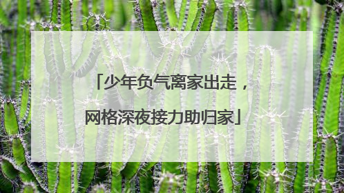 少年负气离家出走，网格深夜接力助归家