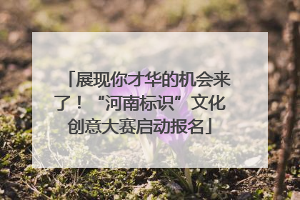 展现你才华的机会来了！“河南标识”文化创意大赛启动报名