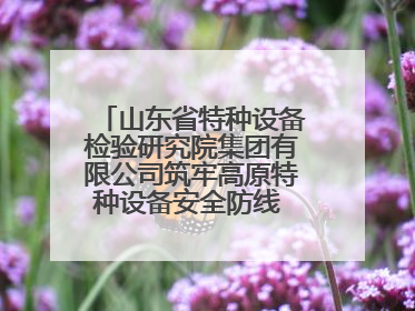 山东省特种设备检验研究院集团有限公司筑牢高原特种设备安全防线 共绘拉萨美好生活画卷