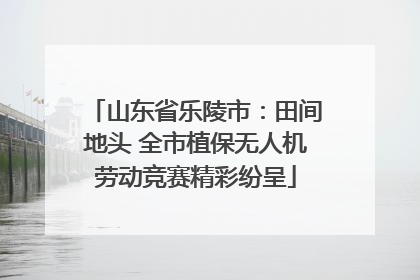 山东省乐陵市：田间地头 全市植保无人机劳动竞赛精彩纷呈