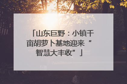 山东巨野：小镇千亩胡萝卜基地迎来“智慧大丰收”