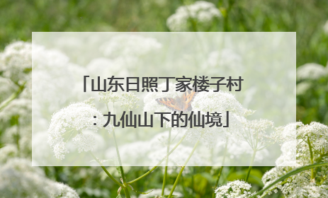 山东日照丁家楼子村：九仙山下的仙境
