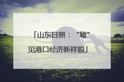山东日照：“瞰”见港口经济新样貌