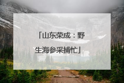 山东荣成：野生海参采捕忙
