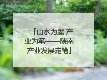山水为墨 产业为笔——陕南产业发展走笔