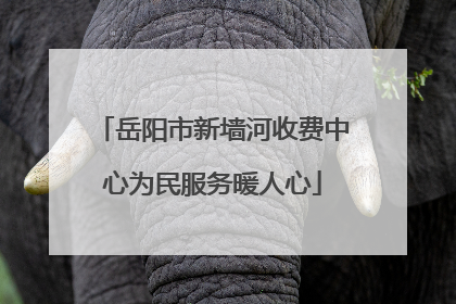 岳阳市新墙河收费中心为民服务暖人心