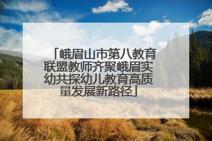 峨眉山市第八教育联盟教师齐聚峨眉实幼共探幼儿教育高质量发展新路径