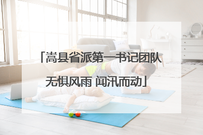 嵩县省派第一书记团队 无惧风雨 闻汛而动