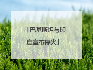 巴基斯坦与印度宣布停火