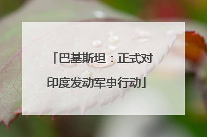 巴基斯坦：正式对印度发动军事行动