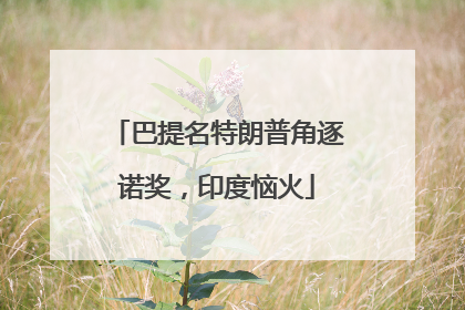 巴提名特朗普角逐诺奖，印度恼火