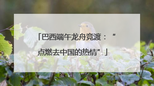 巴西端午龙舟竞渡：“点燃去中国的热情”