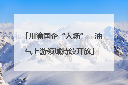 川渝国企“入场”，油气上游领域持续开放