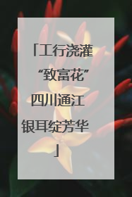 工行浇灌“致富花” 四川通江银耳绽芳华