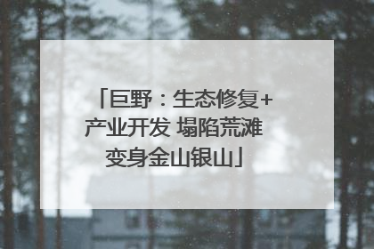 巨野：生态修复+产业开发 塌陷荒滩变身金山银山