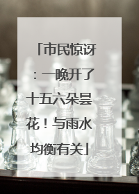 市民惊讶：一晚开了十五六朵昙花！与雨水均衡有关
