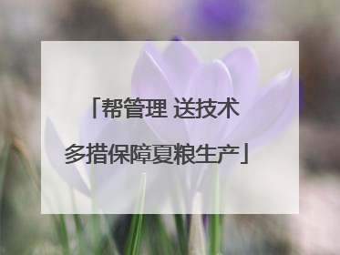 帮管理 送技术 多措保障夏粮生产