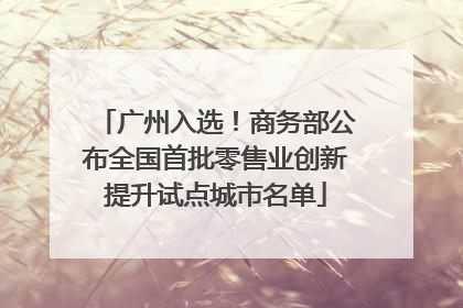 广州入选！商务部公布全国首批零售业创新提升试点城市名单