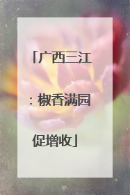 广西三江：椒香满园促增收