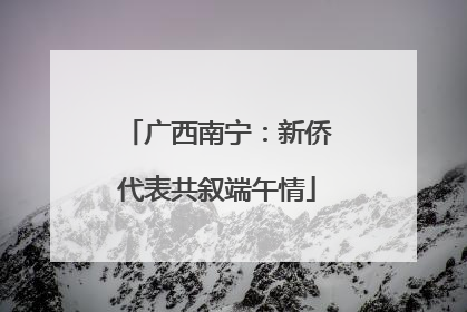 广西南宁：新侨代表共叙端午情