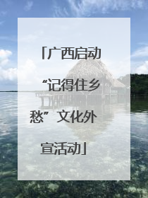 广西启动“记得住乡愁”文化外宣活动