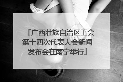 广西壮族自治区工会第十四次代表大会新闻发布会在南宁举行