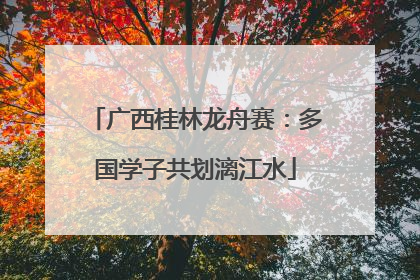 广西桂林龙舟赛：多国学子共划漓江水