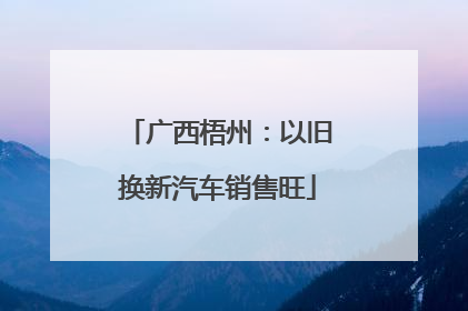 广西梧州：以旧换新汽车销售旺