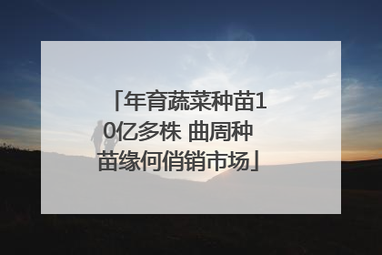 年育蔬菜种苗10亿多株 曲周种苗缘何俏销市场