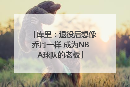 库里：退役后想像乔丹一样 成为NBA球队的老板