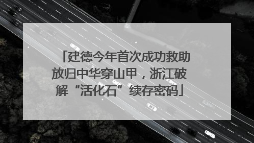 建德今年首次成功救助放归中华穿山甲，浙江破解“活化石”续存密码