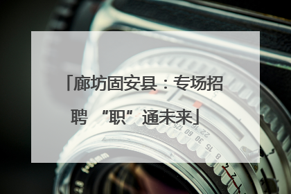 廊坊固安县：专场招聘 “职”通未来