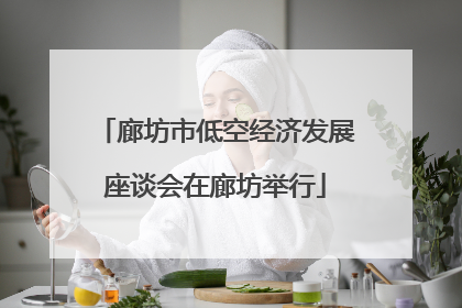 廊坊市低空经济发展座谈会在廊坊举行