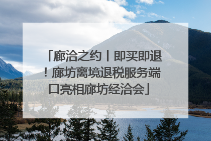 廊洽之约丨即买即退！廊坊离境退税服务端口亮相廊坊经洽会