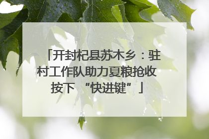 开封杞县苏木乡：驻村工作队助力夏粮抢收按下 “快进键”