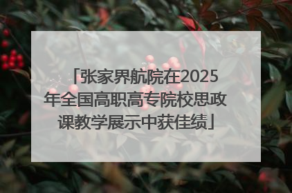 张家界航院在2025年全国高职高专院校思政课教学展示中获佳绩