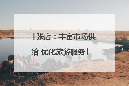 张店：丰富市场供给 优化旅游服务
