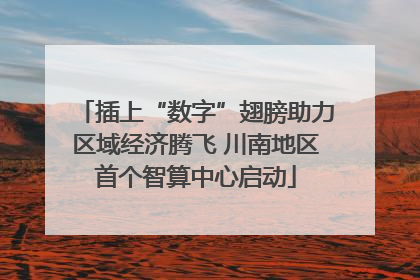 插上“数字”翅膀助力区域经济腾飞 川南地区首个智算中心启动