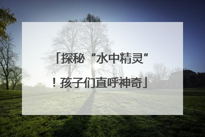 探秘“水中精灵”！孩子们直呼神奇