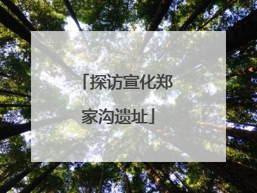 探访宣化郑家沟遗址