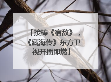 接棒《宿敌》，《藏海传》东方卫视开播即燃