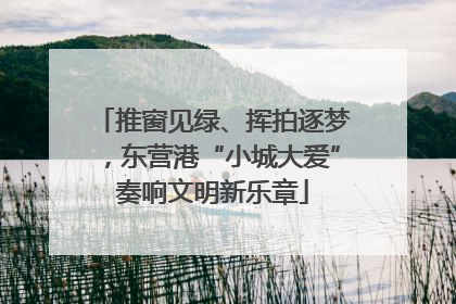 推窗见绿、挥拍逐梦，东营港“小城大爱”奏响文明新乐章