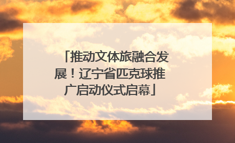 推动文体旅融合发展！辽宁省匹克球推广启动仪式启幕