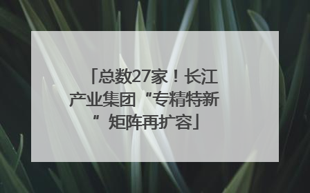总数27家！长江产业集团“专精特新”矩阵再扩容