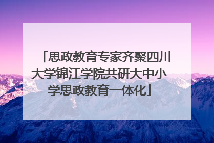 思政教育专家齐聚四川大学锦江学院共研大中小学思政教育一体化