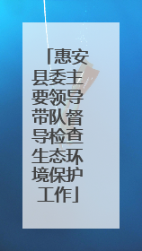 惠安县委主要领导带队督导检查生态环境保护工作