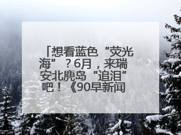 想看蓝色“荧光海”？6月，来瑞安北麂岛“追泪”吧！《90早新闻》来了
